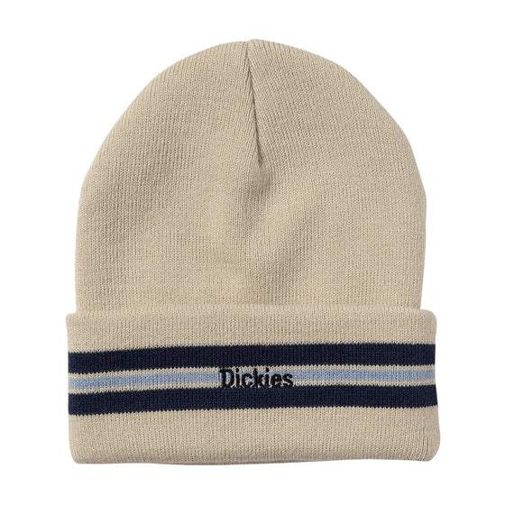 Dickies Skateboarding Tom Knox Beanie - Fog