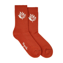 Magenta Plant Socks - Auburn