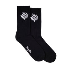  Magenta Plant Socks - Black