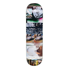  GX1000 Salida Punks - 8.75