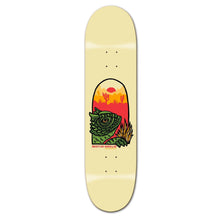  Roger Skate Co. Sunset Austin Amelio - 8.5